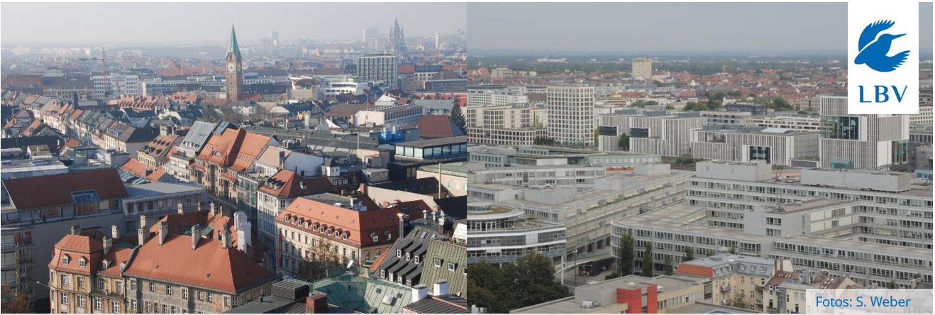 Altbauten (links) und moderne Neubauten (rechts) in München